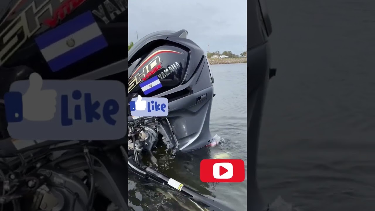 fuoribordo Yamaha 150 CV #nature #passion #perte #barca #barche #mare #raid