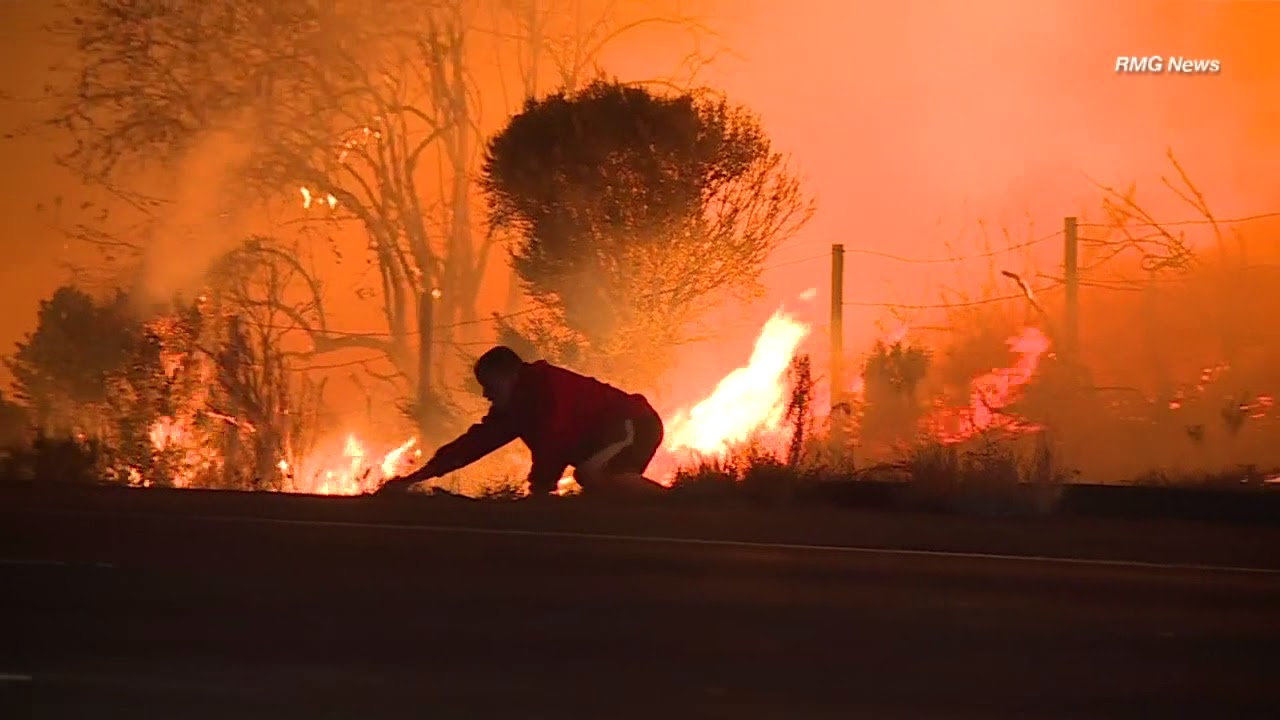 Man risks life to save wild rabbit during SoCal wildfire | ABC7