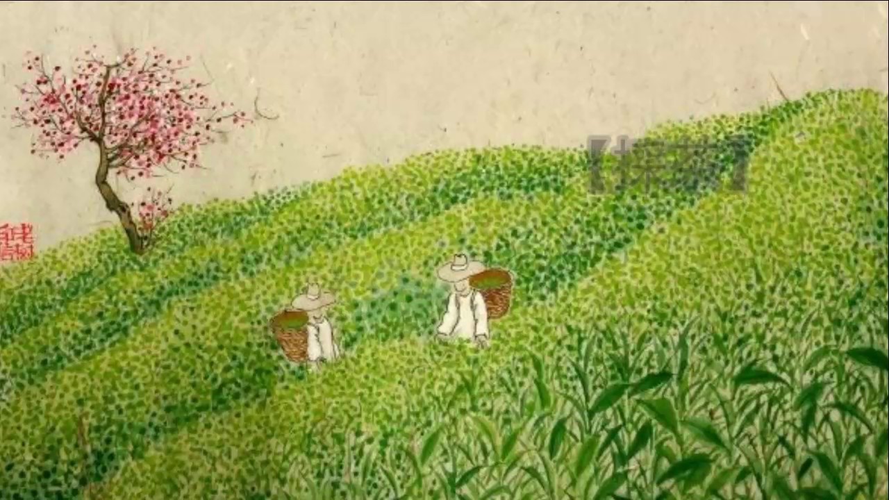 《诗情话艺》老树茶话