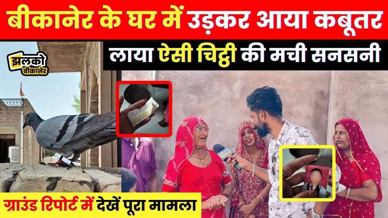 Bikaner के घर में आया कबूतर, चिट्ठी में लड़की की फोटो देख उड़ गए होश,देखें ग्राउंड रिपोर्ट~ Jhalko