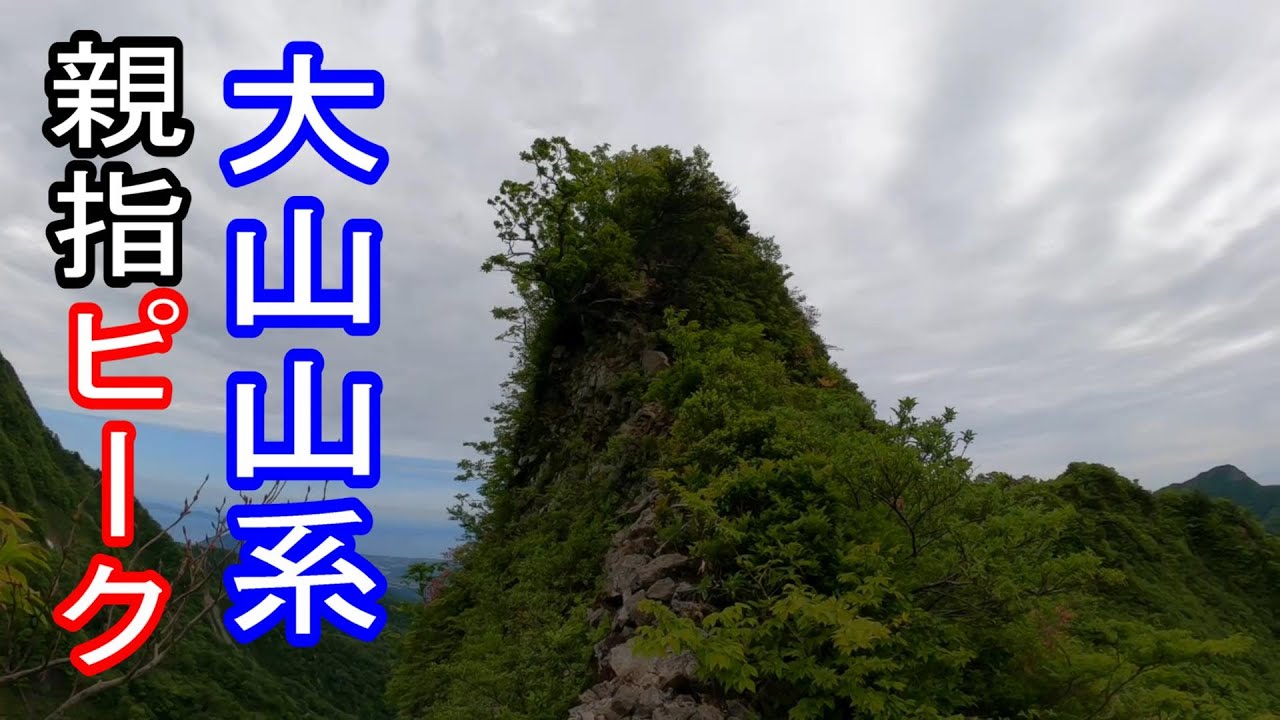 大山山系　野田ヶ山～親指ピーク