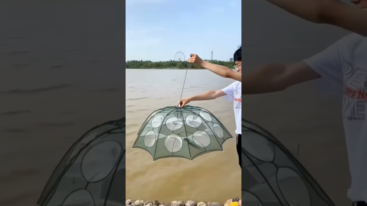 Foldable fishing umbrella net trap fishing gear and tools #fishing #fishinggear#fishingtackle #fish