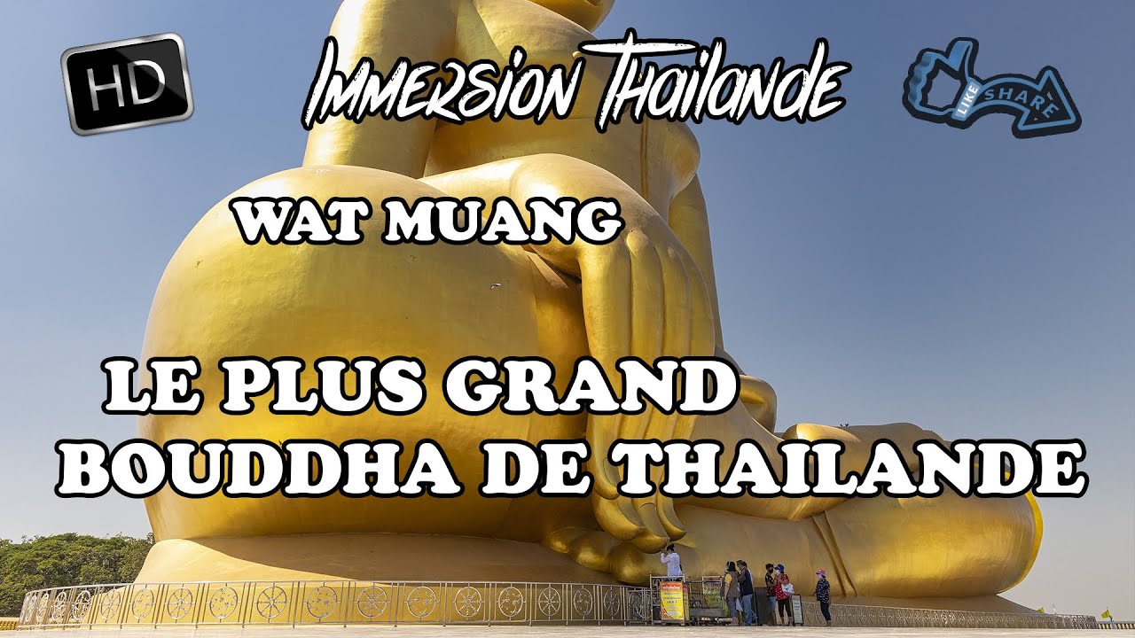 Le plus grand Bouddha de Thailande. 