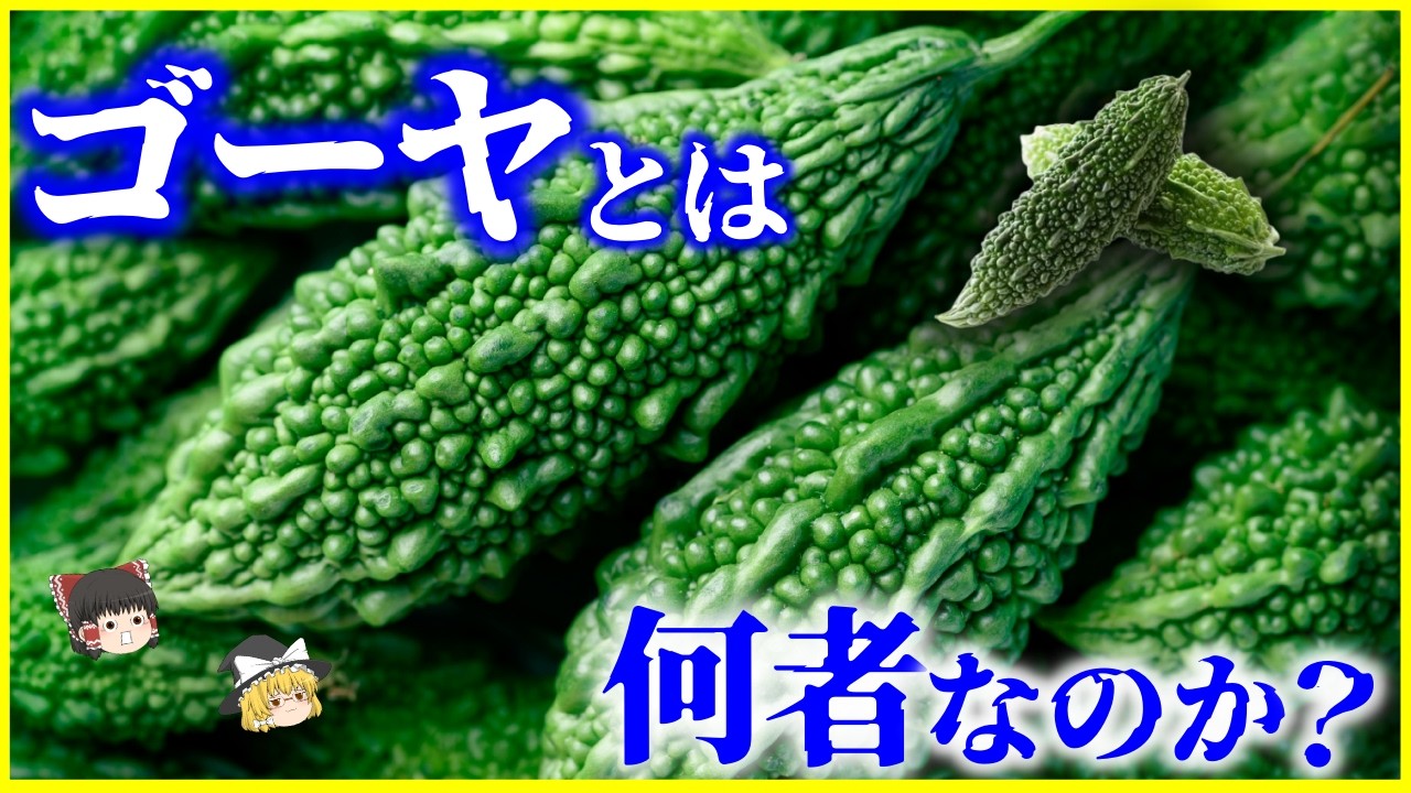 【ゆっくり解説】苦いのに何故食べる？「ゴーヤ」とは何者なのか？を解説/苦味は進化の武器だった？