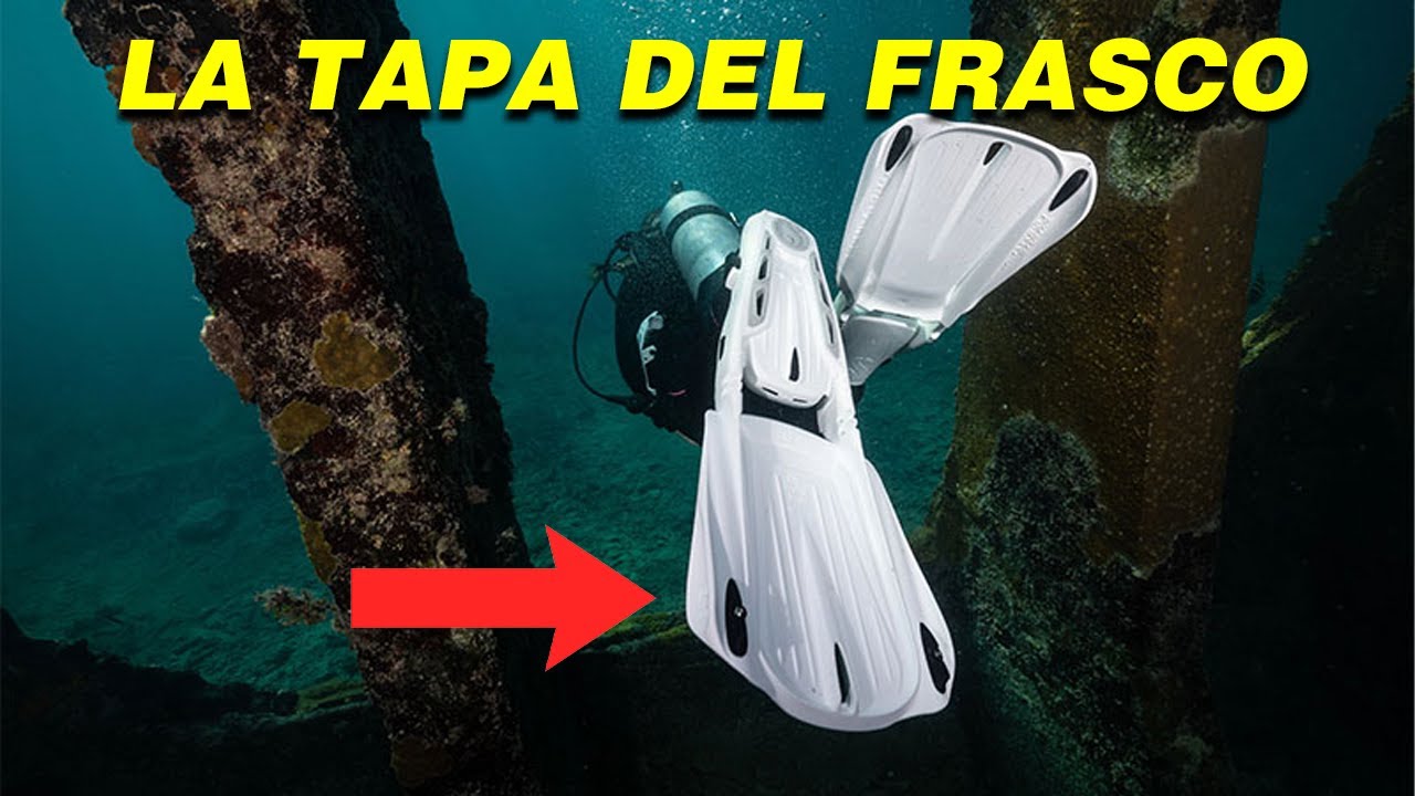 MIS **NUEVAS** ALETAS FAVORITAS 😳