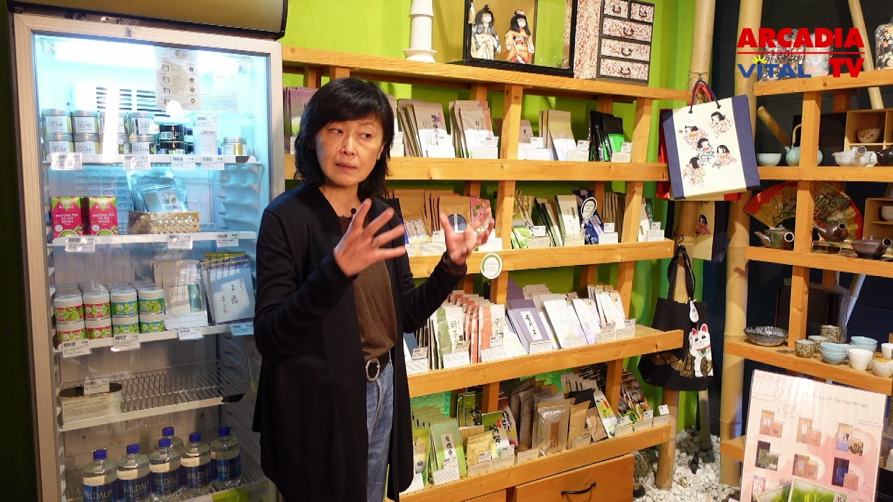 Japanischer Tee Wien: Matcha & Teezeremonie im Cha No Ma 🍵🇯🇵