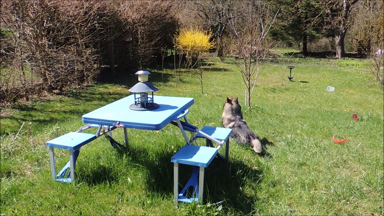 Vendredi 6 Avril 2018