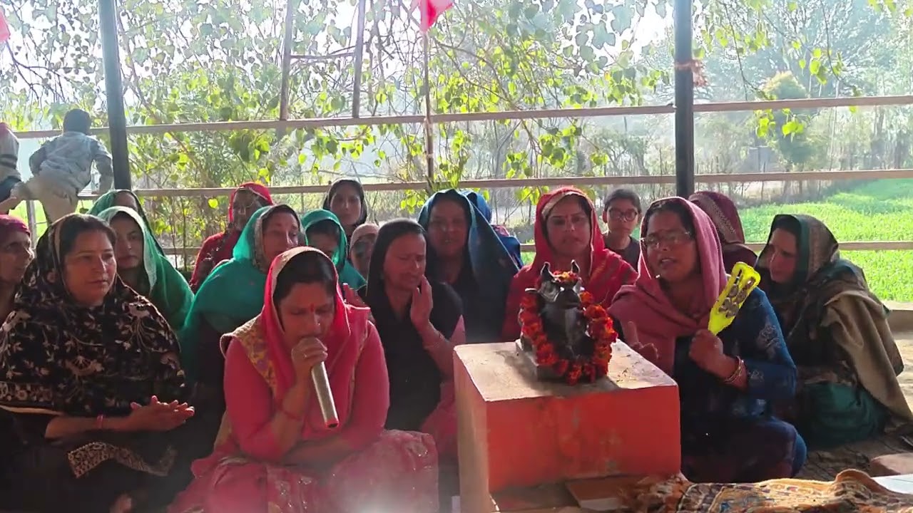 शिव मंडली सलोह बैरी कीर्तन महाशिवरात्रि स्पेशल 🙏🏻🚩