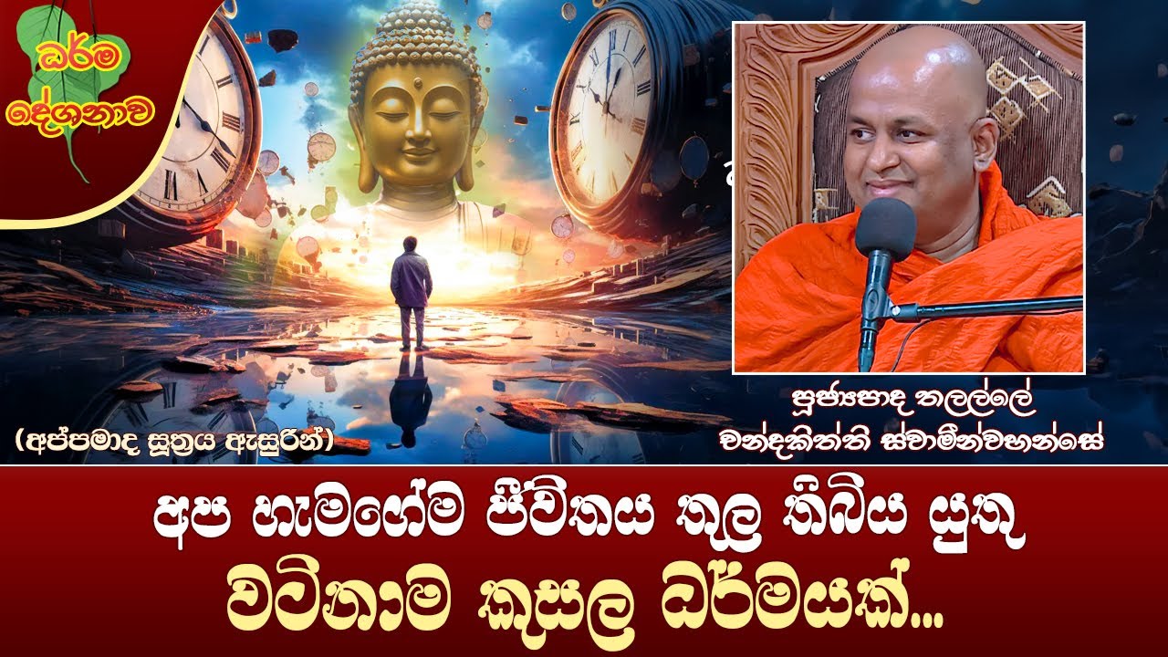 Ven Thalalle Chandakitthi Thero| 2023-12-19 | 10:00AM (ජීවිතය තුල තිබිය යුතු වටිනාම කුසල ධර්මයක්...)