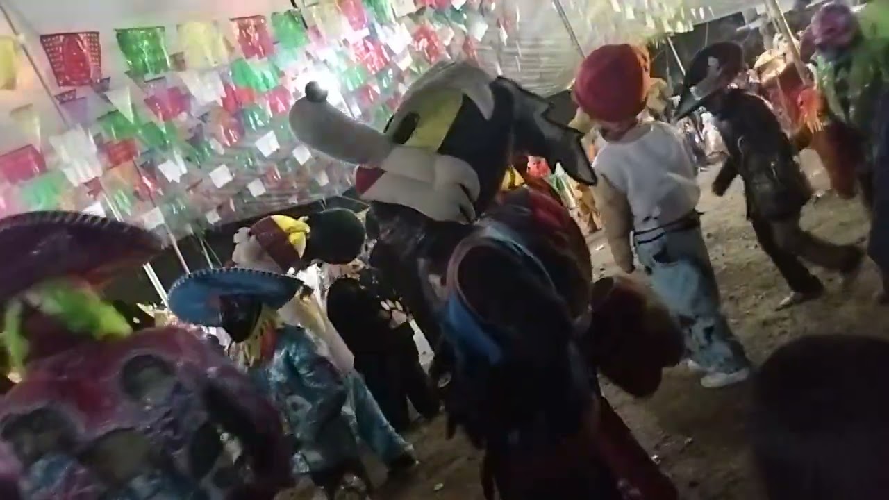 Nunca me cansaré de estos videos ☺️😍