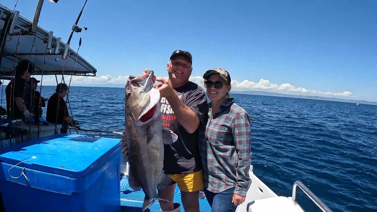 Wellington Fishing Charters in the Cook straight from Mana