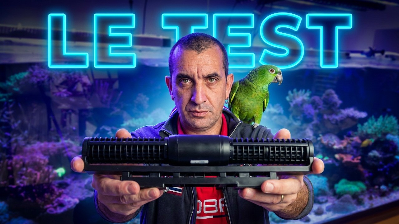 Jebao Gyre WiFi Cross Flow : vaut-elle le coup ? 