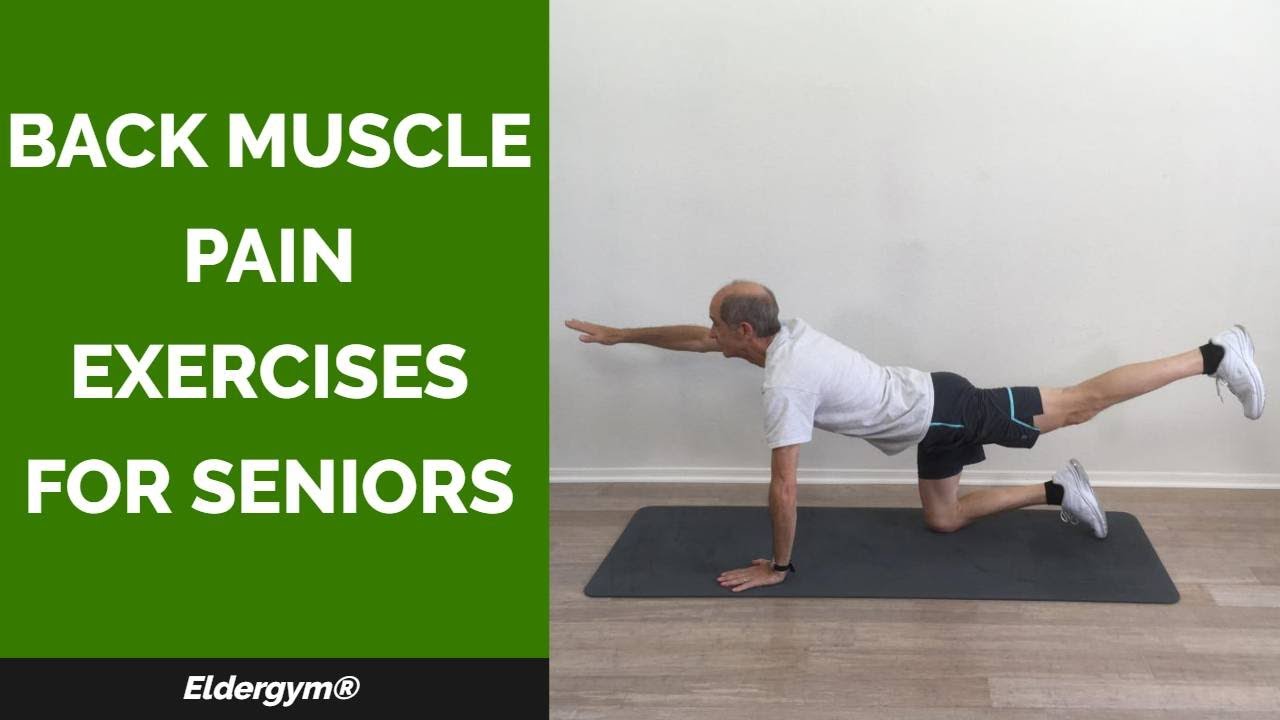 Back Muscle Pain Exercises for Seniors, strength training for seniors, lower body strengthening