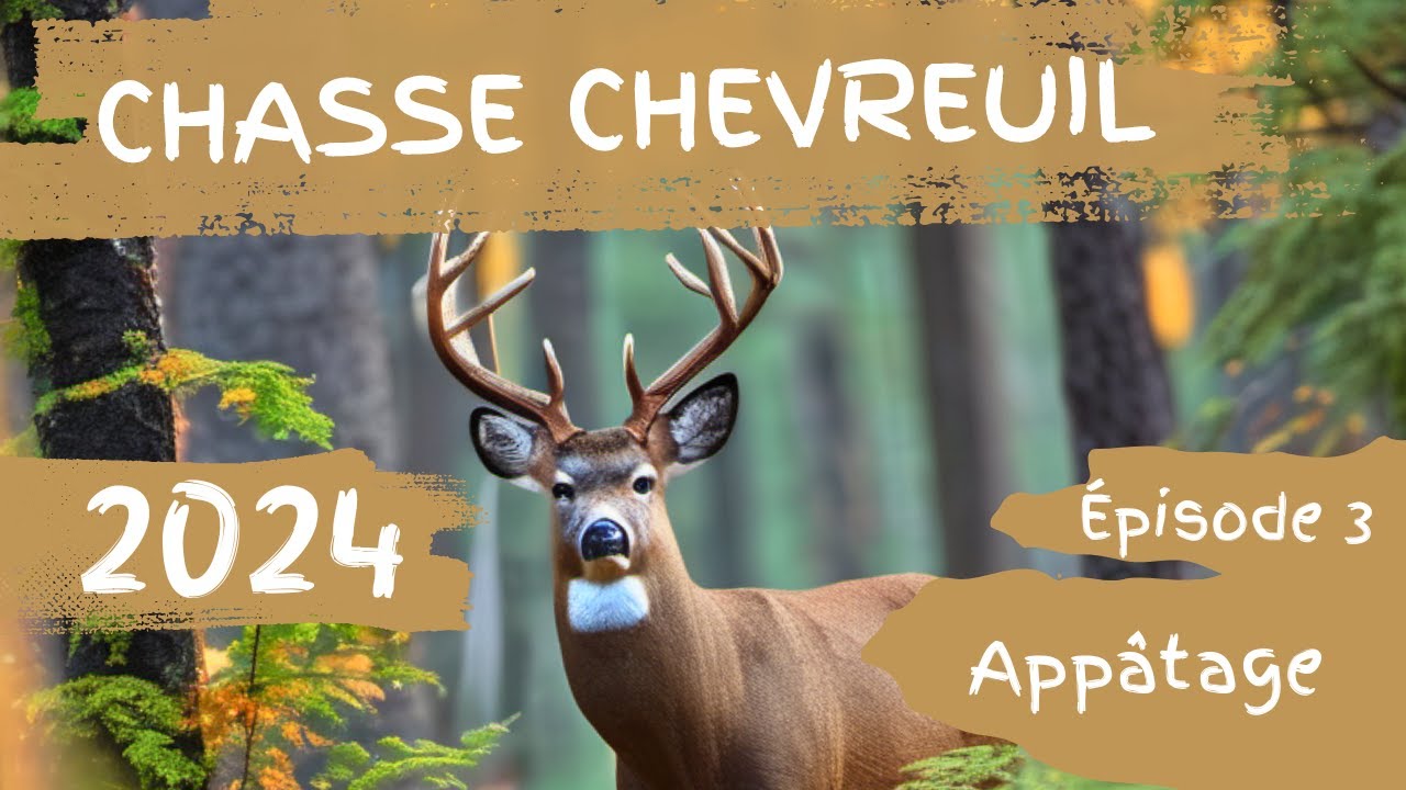 Chasse chevreuil 2024 Appâtage (Ep.3)
