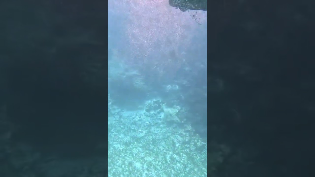 Tour en submarino en Cancún: explorando el fondo marino