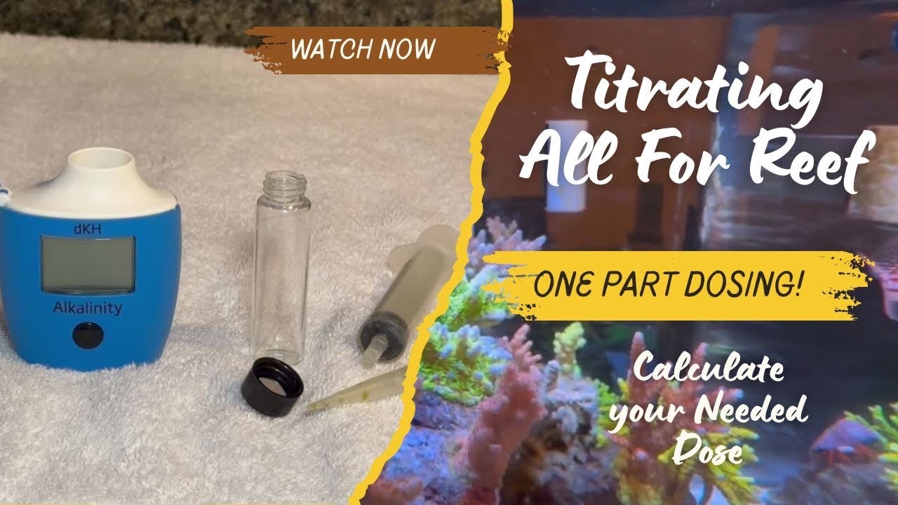 Calculate SPS Reef Tank Alkalinity Dosing Needs Using Tropic Marin All for Reef and Hanna Checker