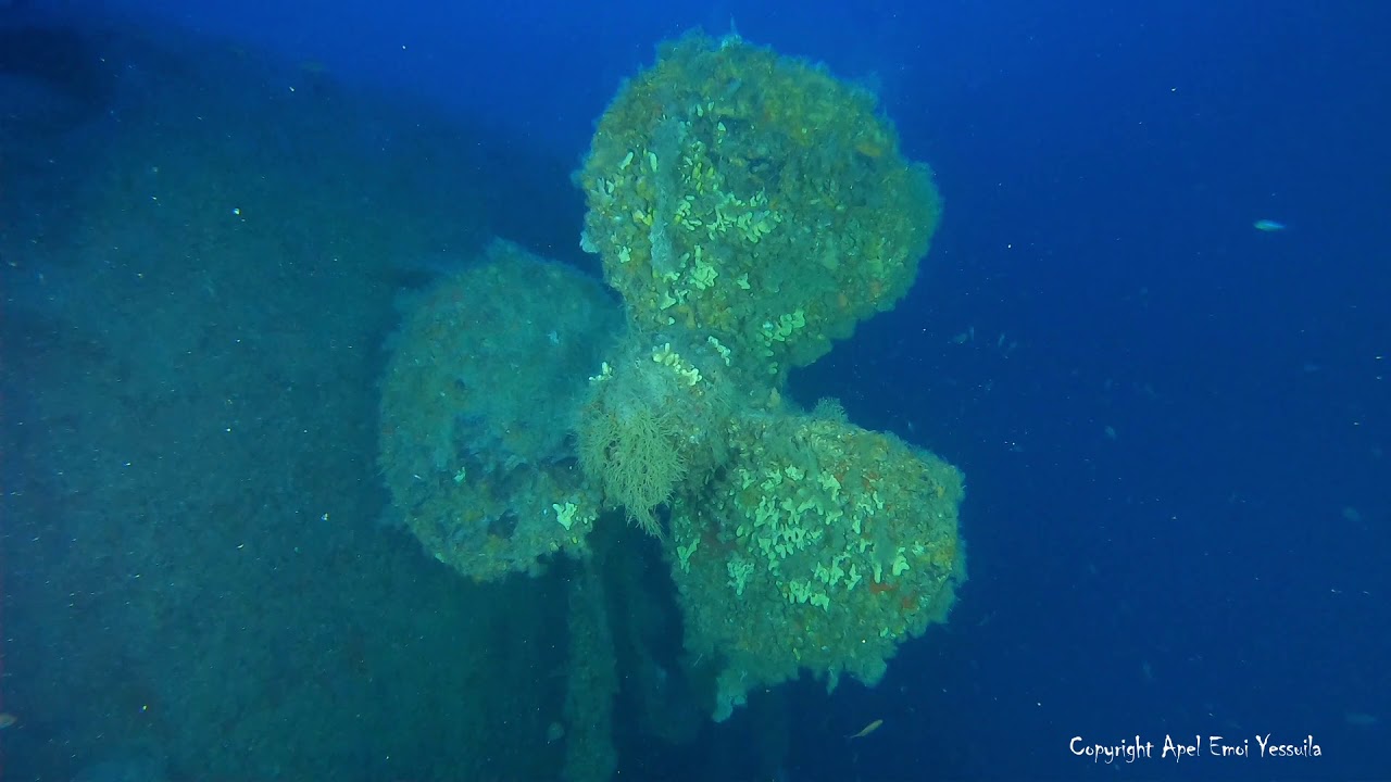 Malta Dive / ORP Kujawiak