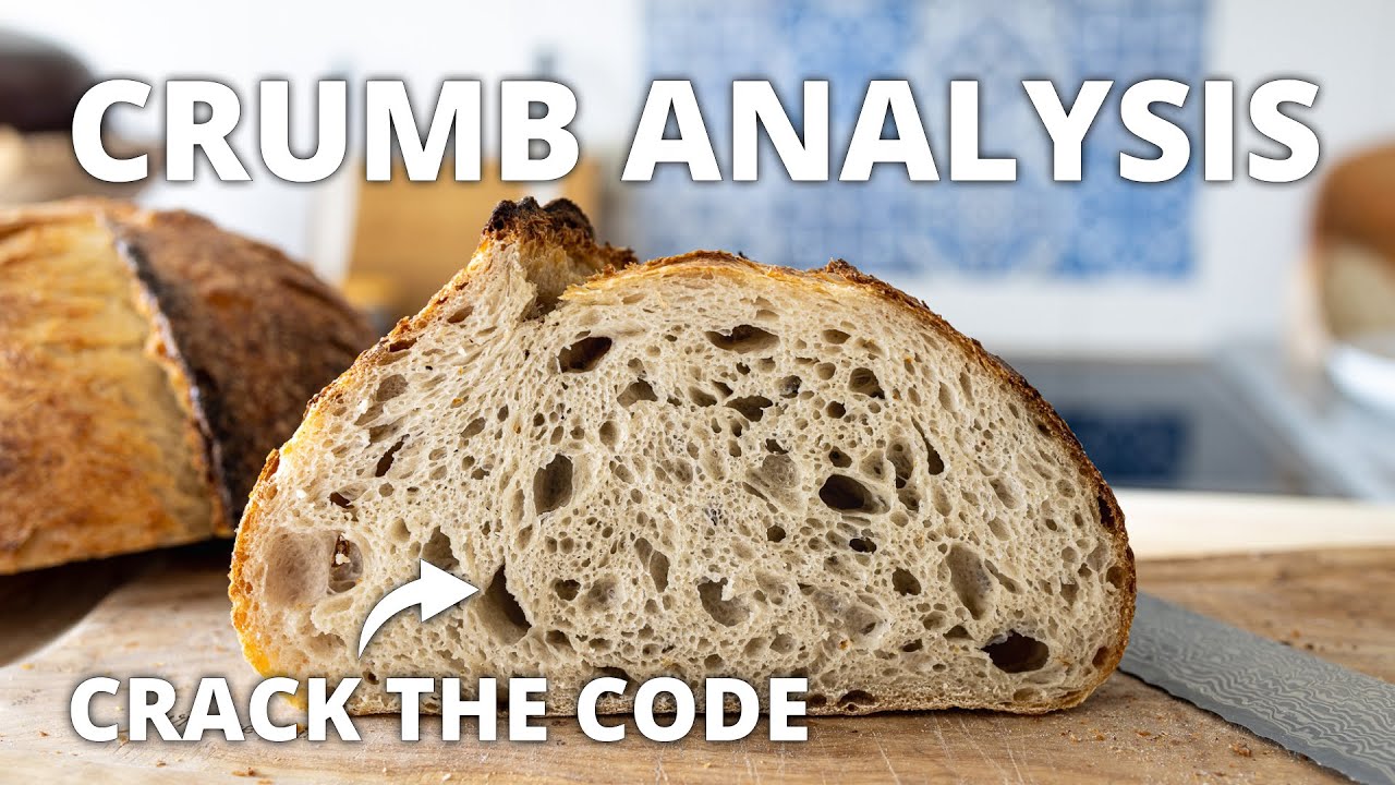 7 Crumb Clues: Upgrade Your Sourdough Game