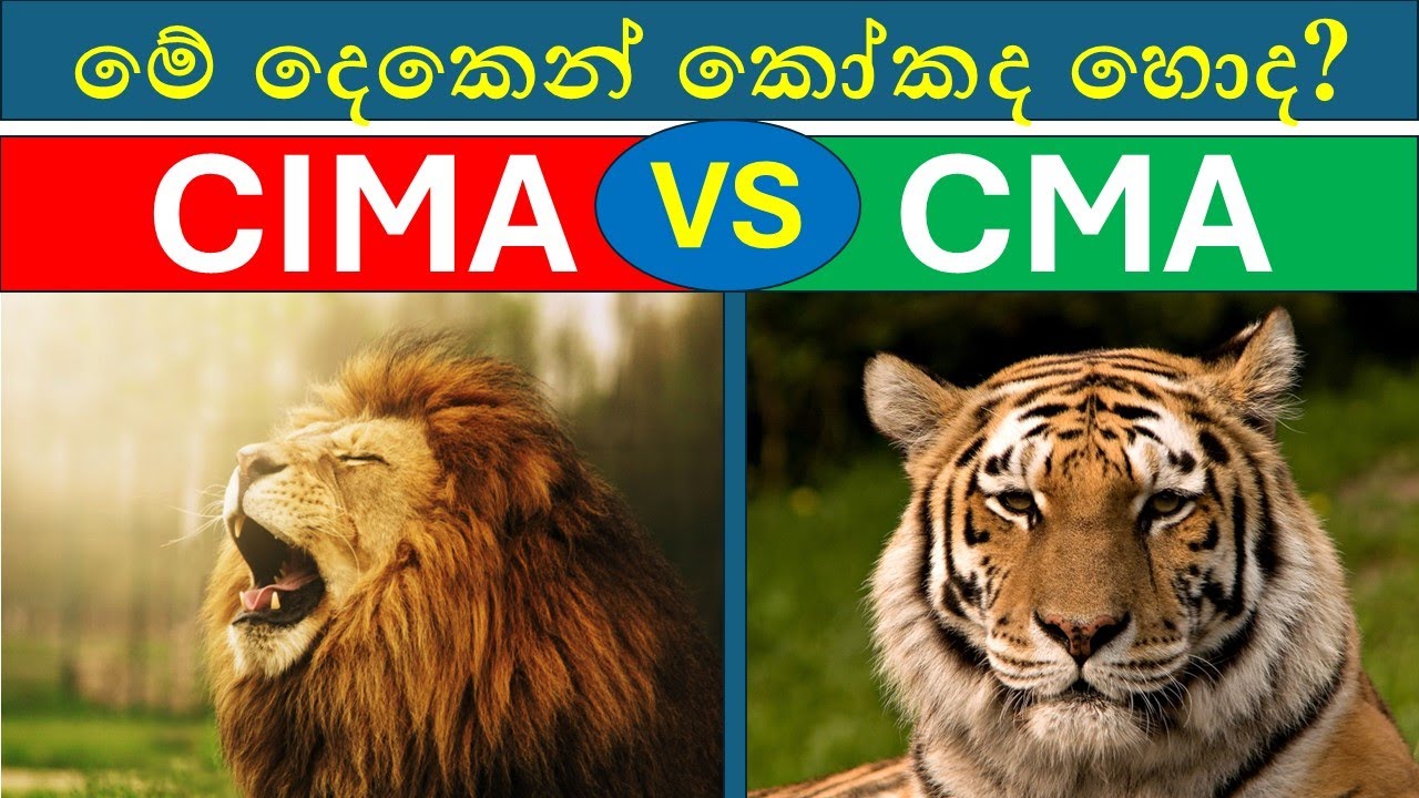 CIMA or CMA? Which is Better for Your Career in Sri Lanka? | Pros and Cons Explained!