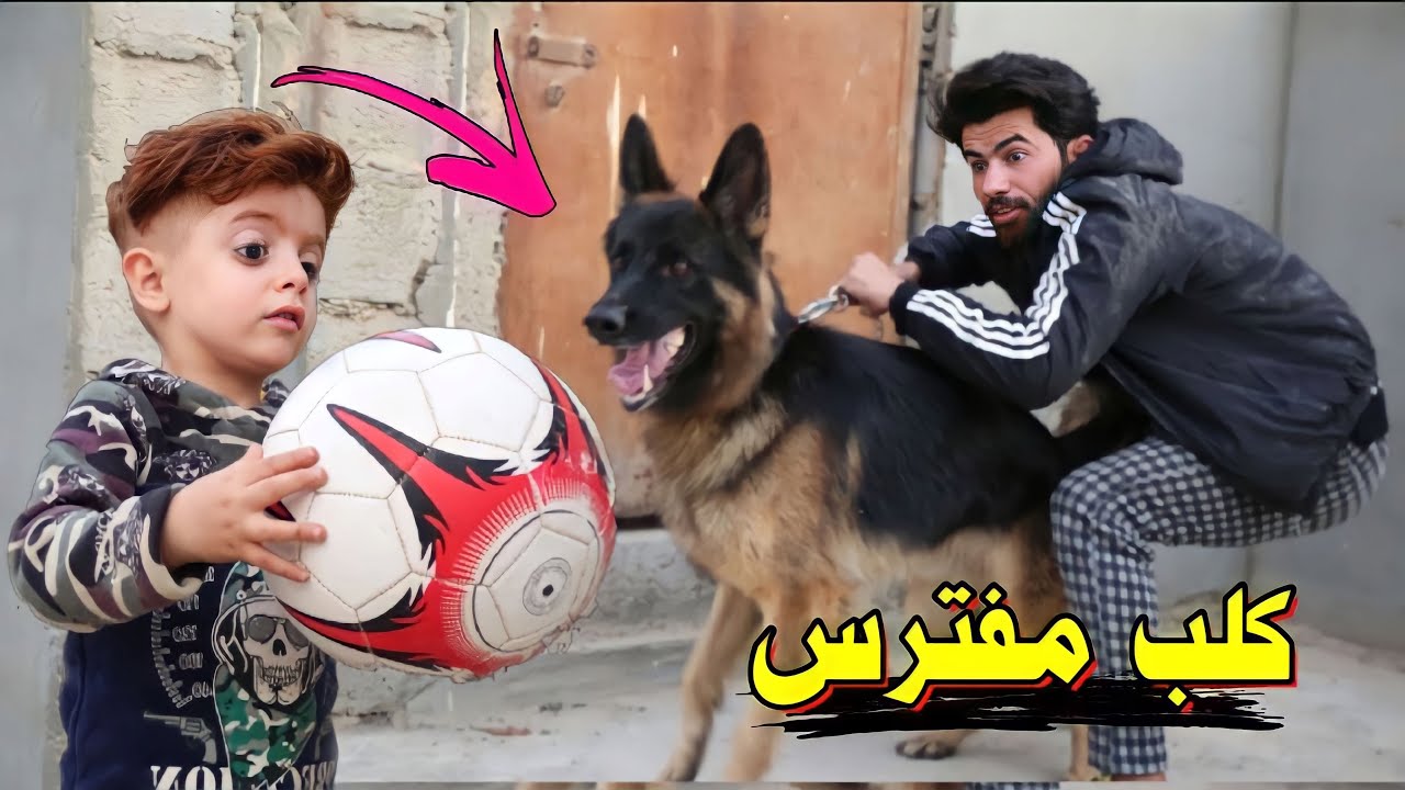 كنان اخذ الطوبة(⚾️)من الصطح راح بيها🔫ههههه😂