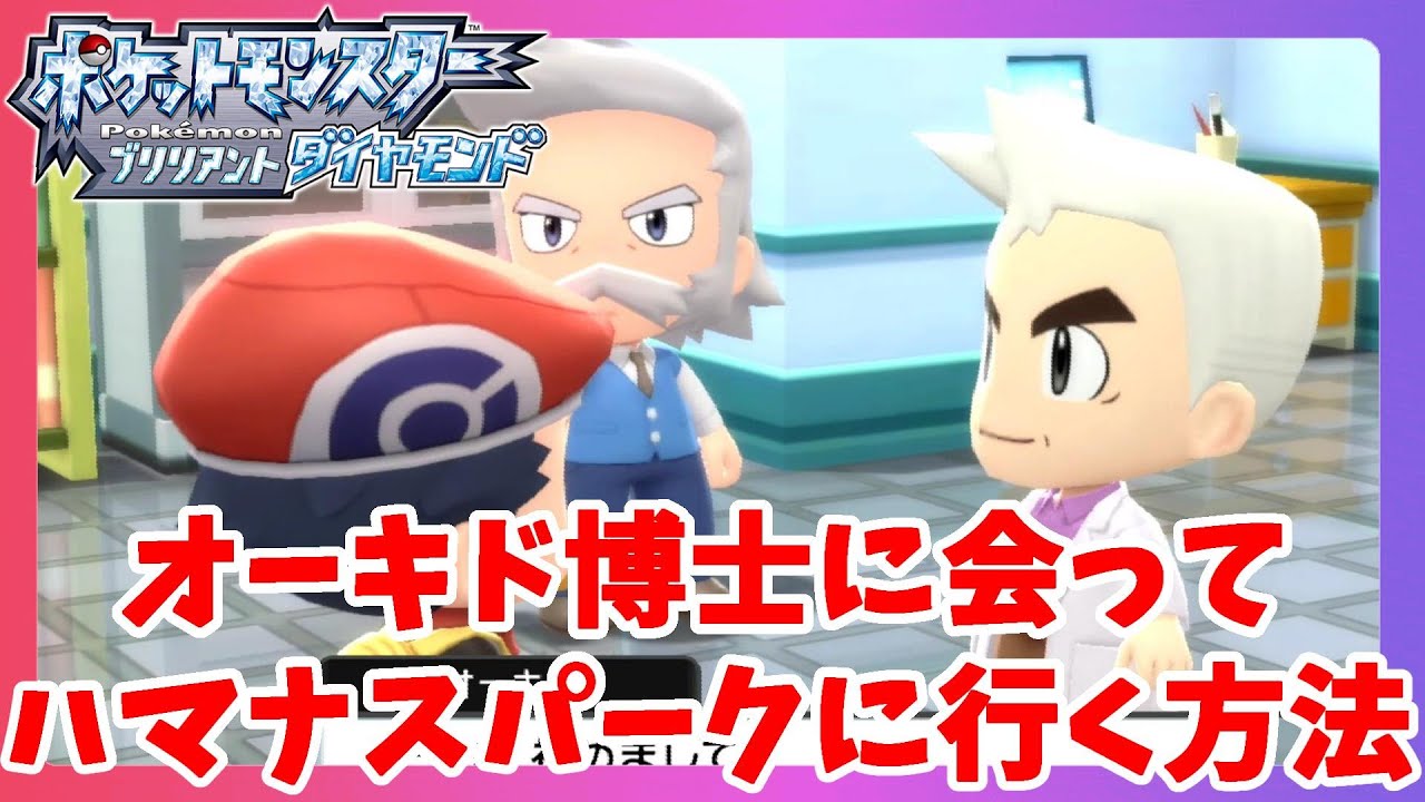 【ポケモンBDSP】伝説のポケモンレジロックゲット！ハマナスパーク解放条件と石板の入手方法【ポケモンブリリアントダイヤモンド】