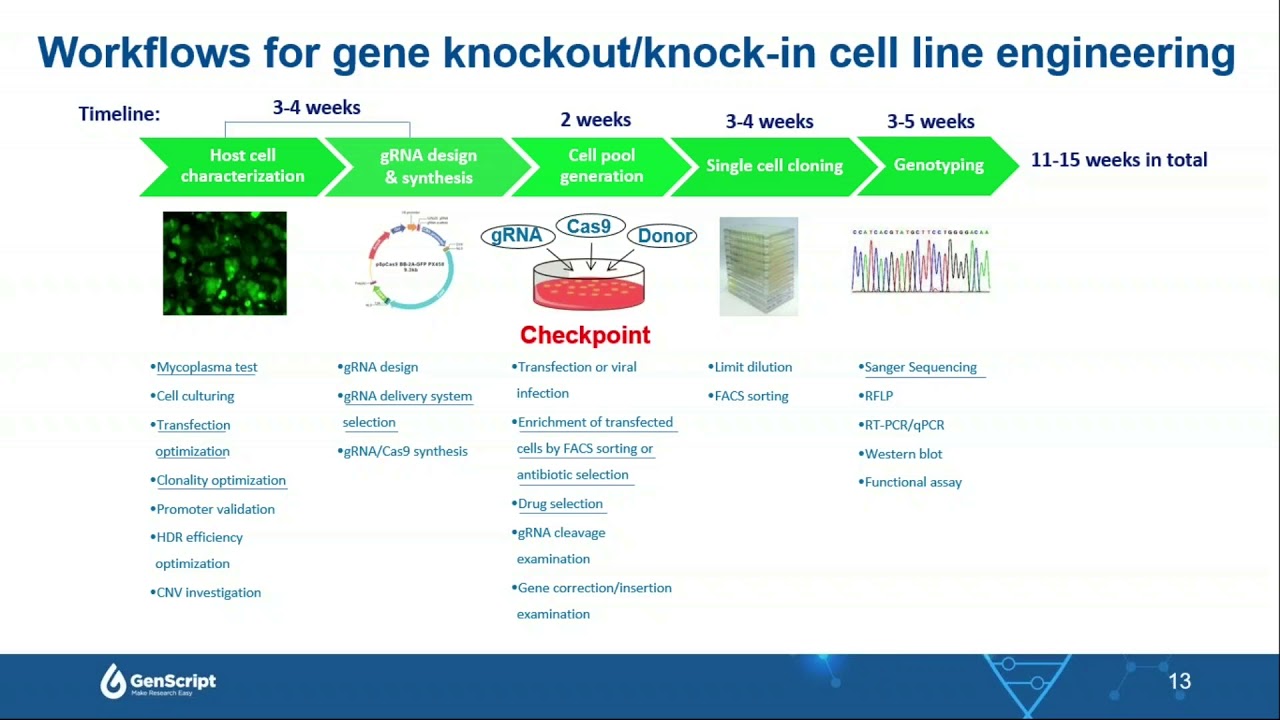 10/10/2018 Webinar: Strategies to Efficiently Generate CRISPR KO/KI Cell Lines