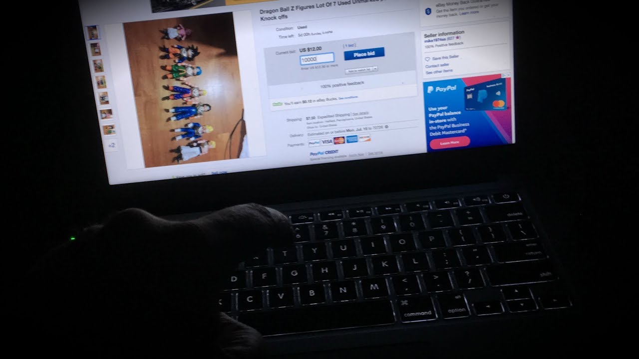THE DARK SIDE OF EBAY: FAKE BIDDERS