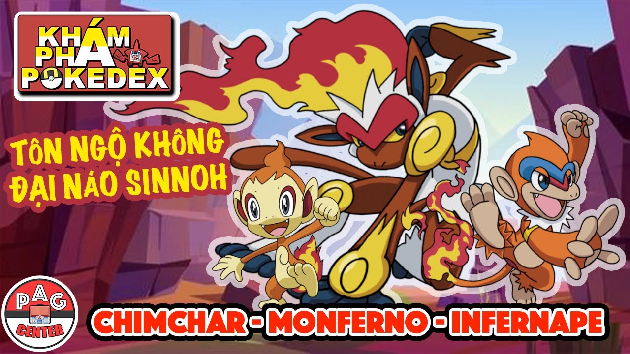 Chimchar - Monferno - Infernape: Tề Thiên Đại Thánh đại náo Sinnoh | Khám Phá Pokedex | PAG Center