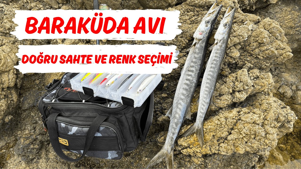 Baraküda Avı / Doğru Sahte ve Renk Seçimi !!