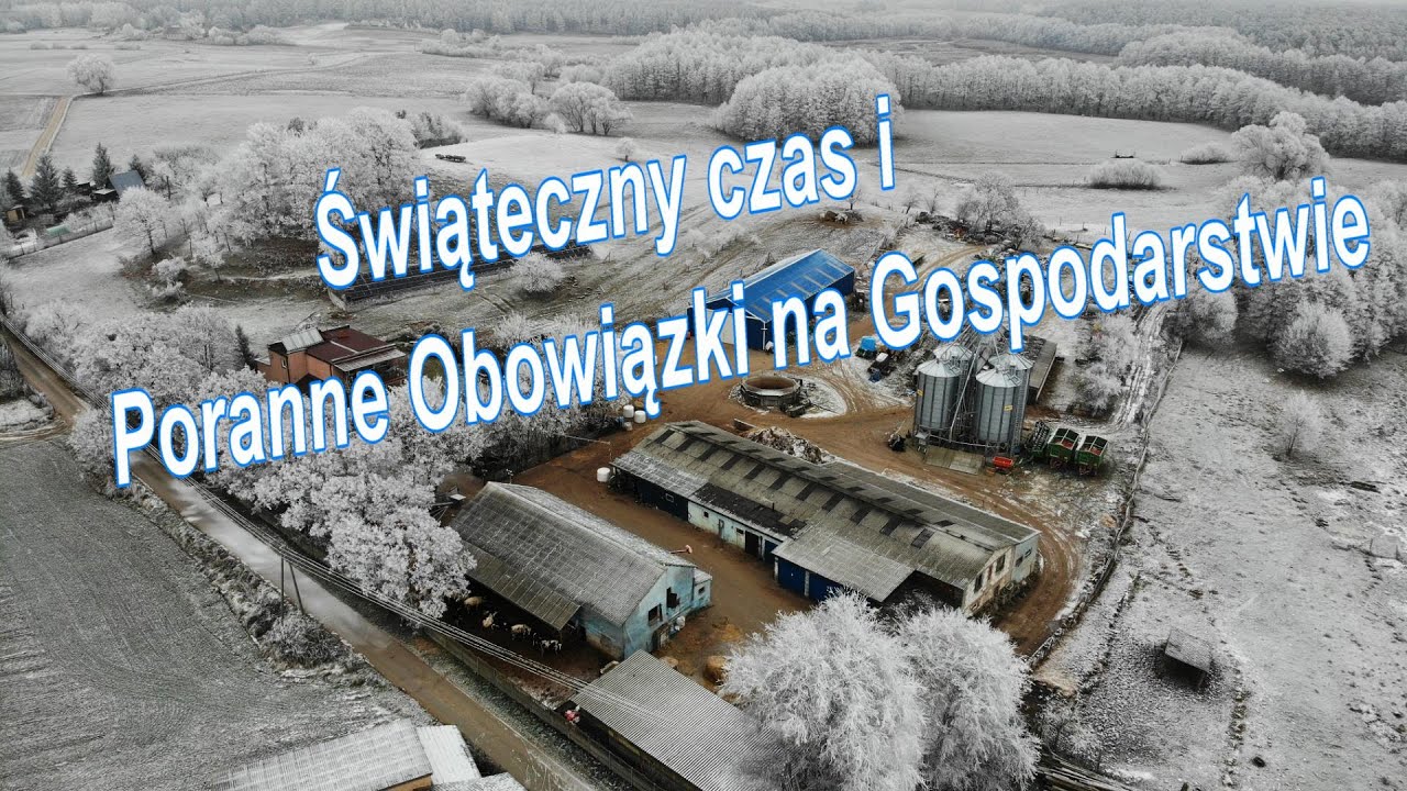 Poranne obowiązki na Gospodarstwie 2022. Przy produkcji Zwierzęcej jest co robić!