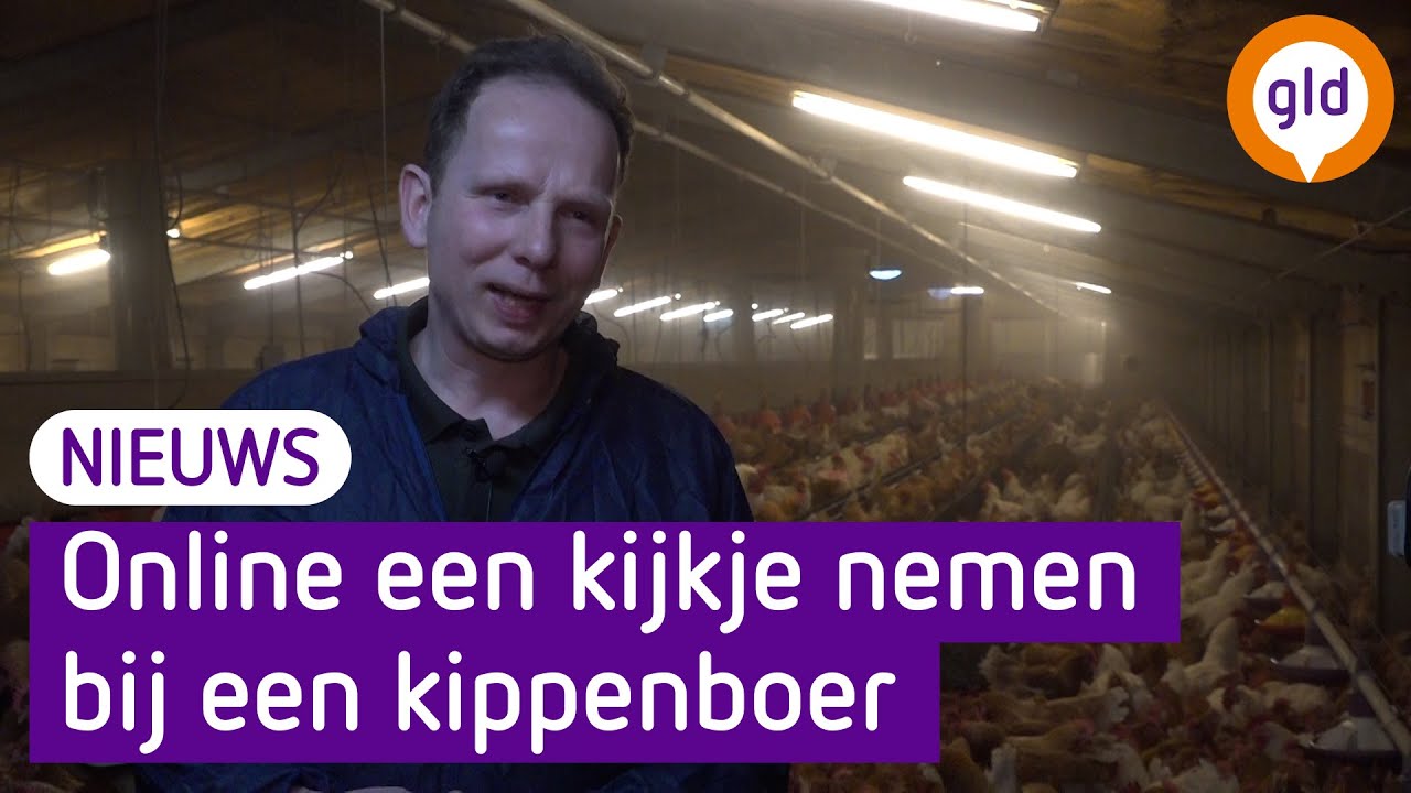 'Mensen hebben vaak geen idee wat zich hier afspeelt', pluimveebedrijven houden open dag