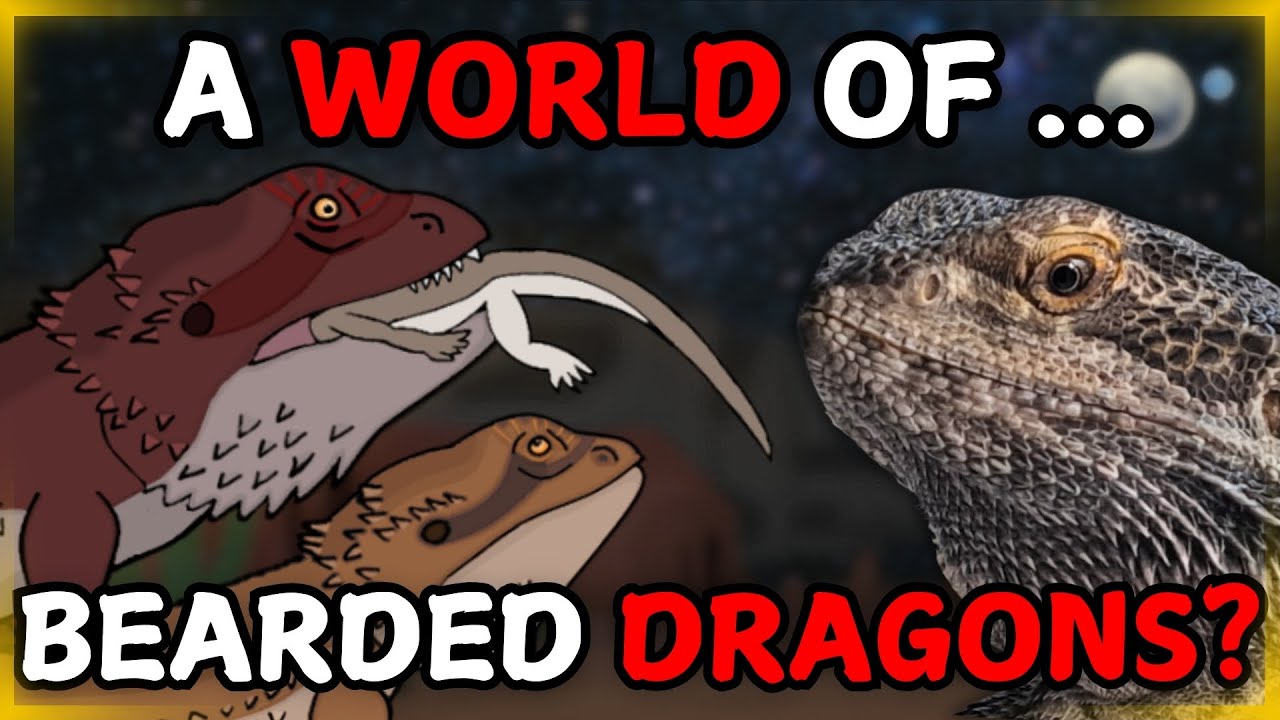 A World of ONLY Bearded Dragons - Orbis Pogona (Bearded Dragon Seedworld)
