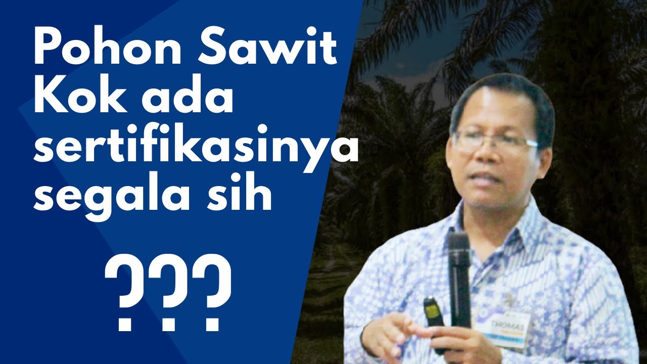 Mengapa Harus Ada Sertifikasi Perkebunan Sawit!? (RSPO)