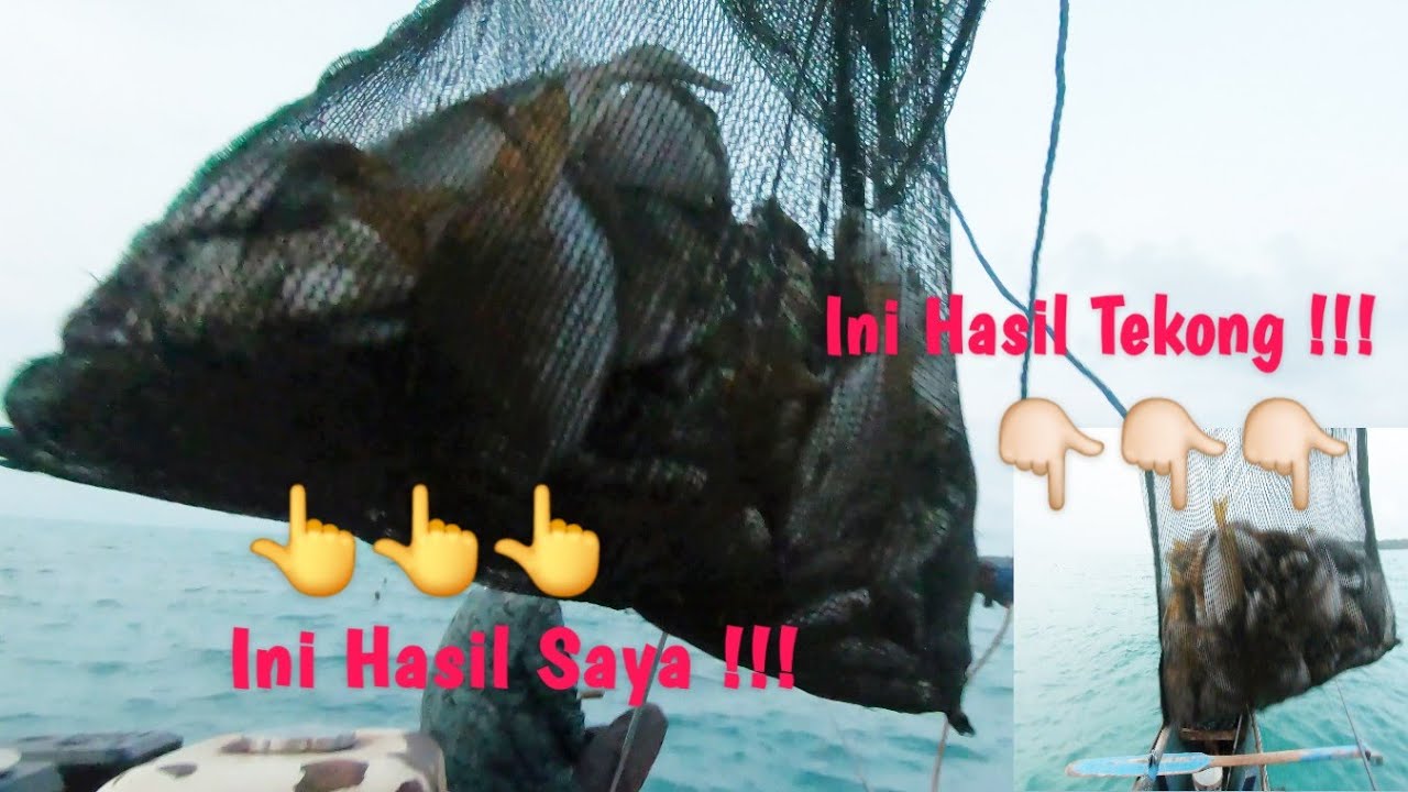Wedyannn Tenan !!! Ikan Di Sini Nggak Ada Habisnya  & Pulang Mancing Pasti Pijat