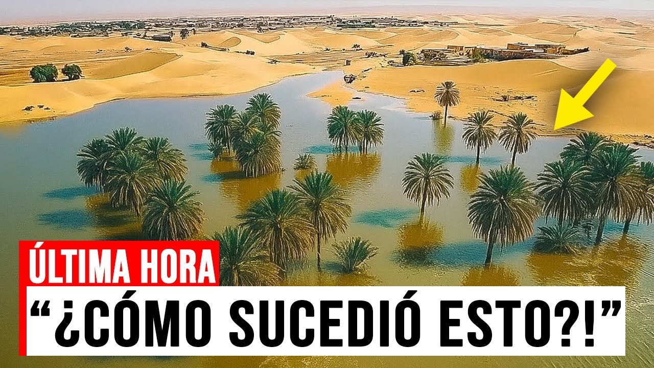 ¡INCREÍBLE fenómeno climático! El SAHARA se INUNDA tras 50 AÑOS de SEQUÍA
