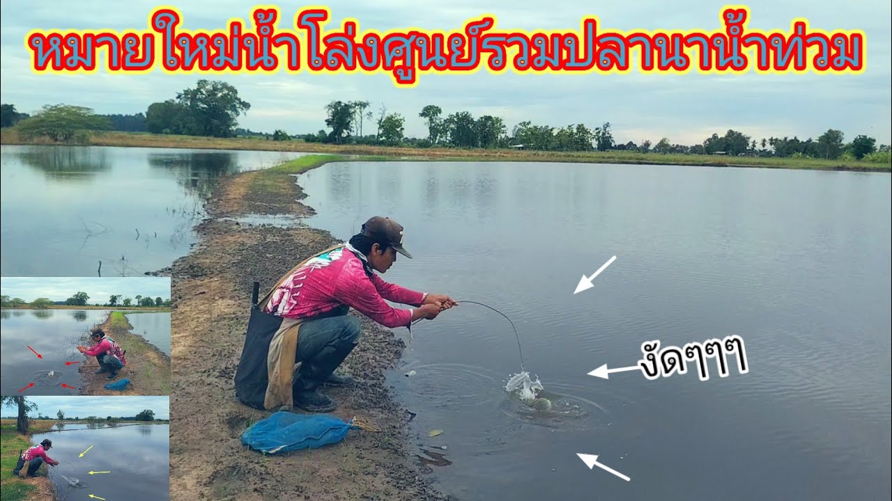 หมานตั้งแต่เริ่มปัก!!เปิดหมายใหม่ศูนย์รวมปลานาน้ำท่วมที่เขาว่าเด็ดกินดีสมคำล่ำลือ