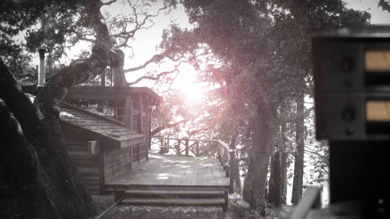 Neil Young - Goodbye Christians On The Shore (Official Music Video)