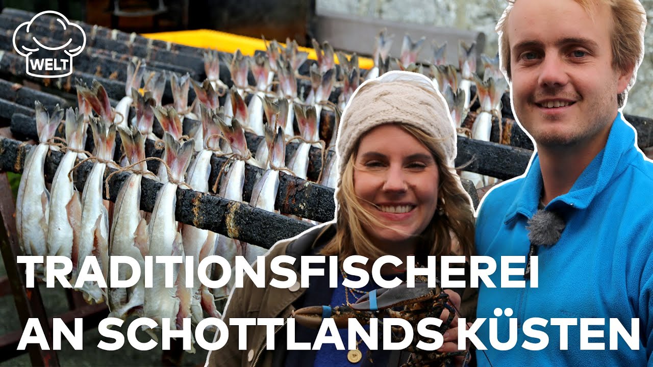 JAGD NACH MEERESFRÜCHTEN: Riskante Traditionsfischerei an Schottlands Küsten | Die Foodtruckerin