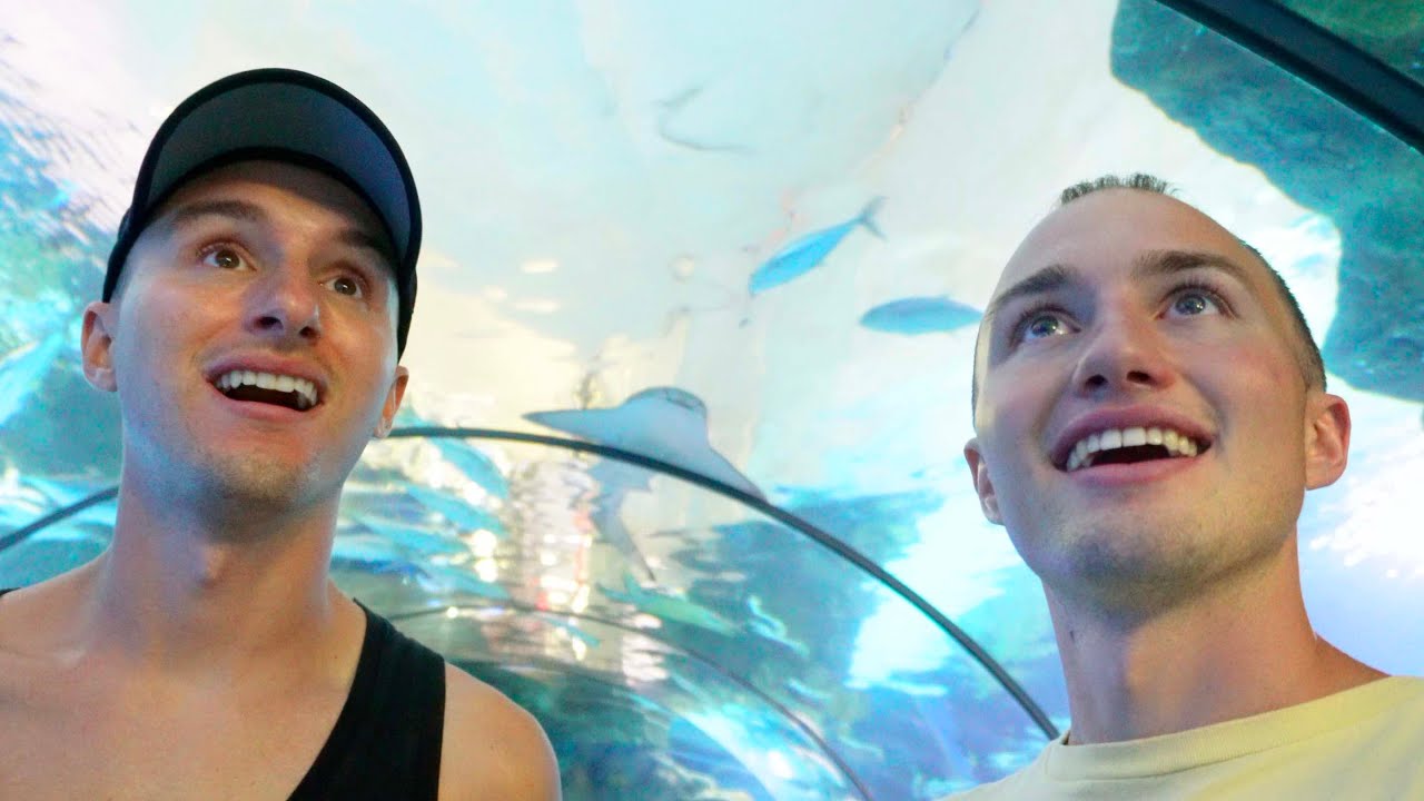 ADULT FIELD TRIP: the zoo