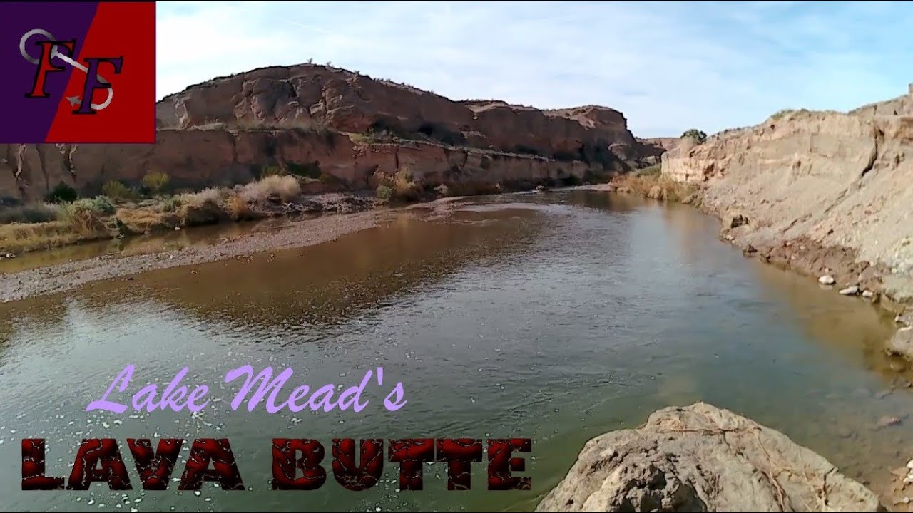 What fish are in Lake Mead's Lava Butte Wash?