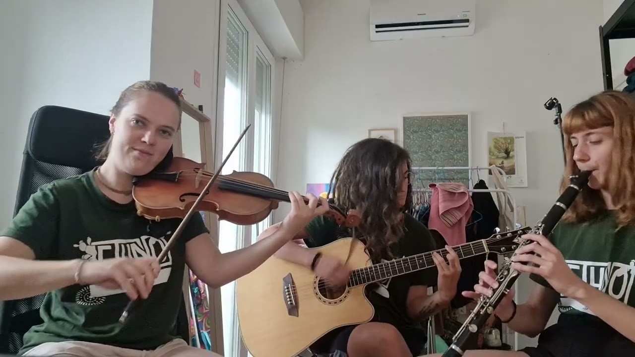 Forro dos dois amigos 
