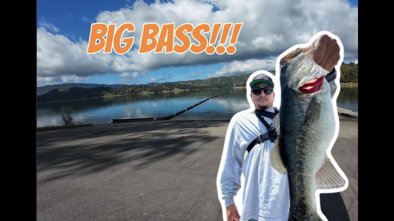 Lake Casitas Is Loaded With BIG BASS!
