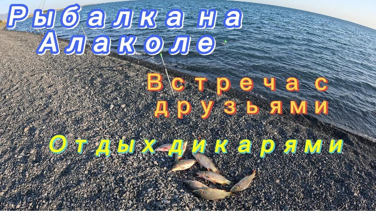 Рыбалка на  Алаколе, отдых дикарями со всеми удобствами, встреча с друзьями.
