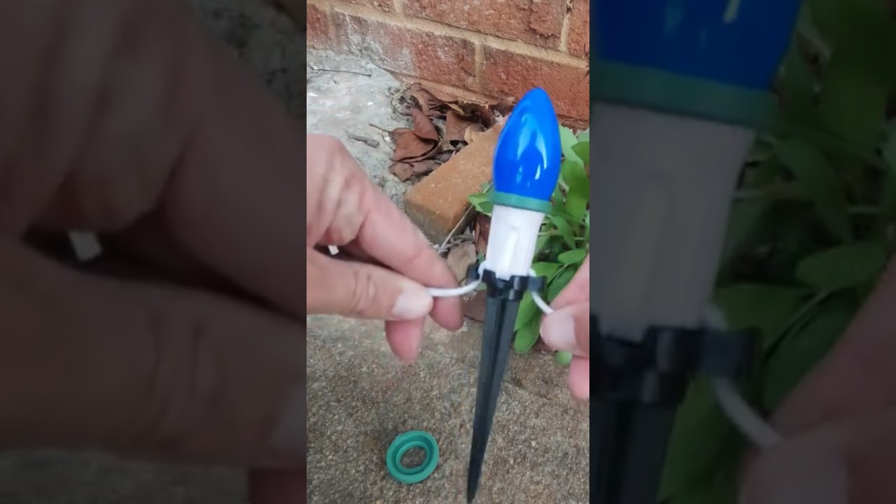 How to stake C9 bulbs  