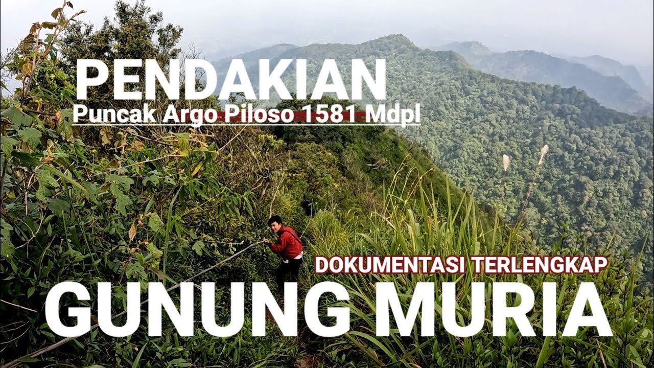 Mendaki Gunung Muria Puncak Argopiloso, LARANGAN BERKATA 