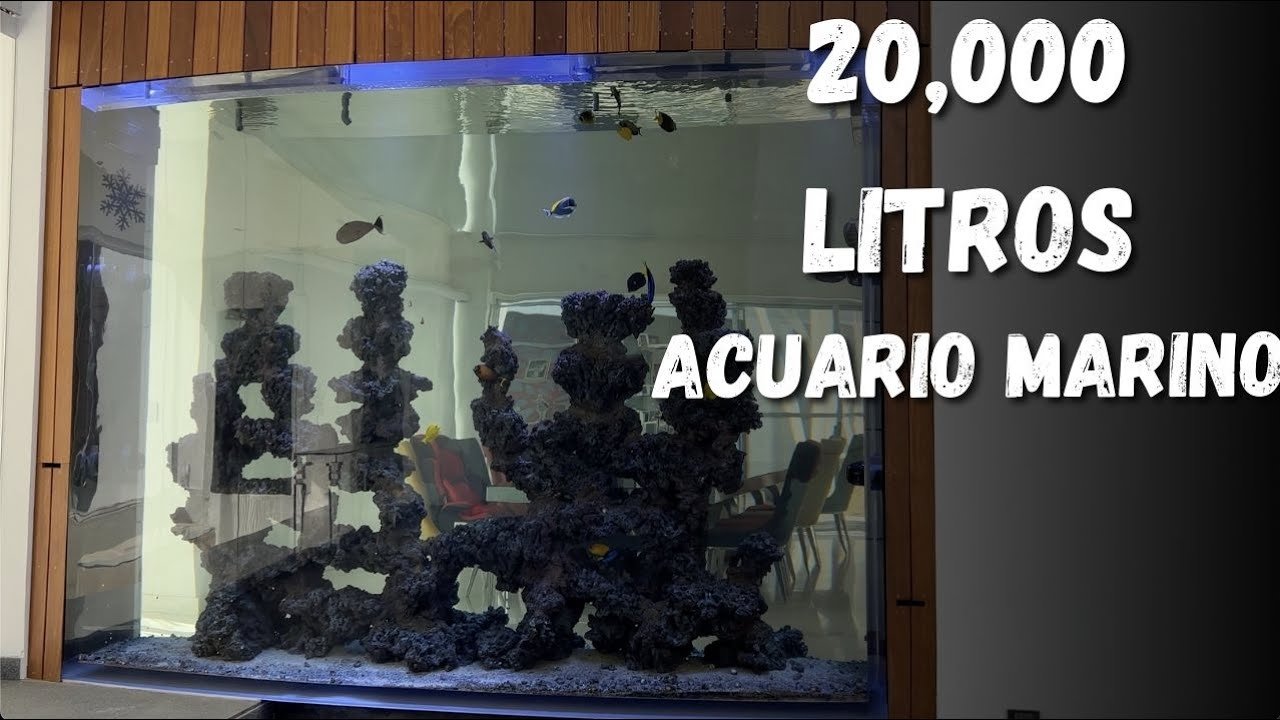 INCREÍBLE ACUARIO MARINO DE 20,000 LITROS.