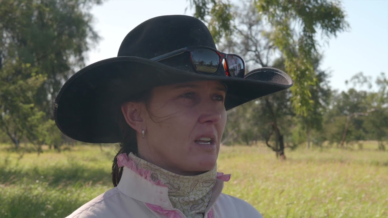 Innovations in Ag: Change in grazing techniques improves drought resilience in the rangeland