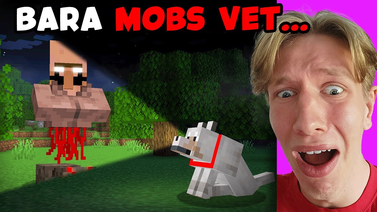 Testar skrämmande Minecraft myter som bara mobs kan se…