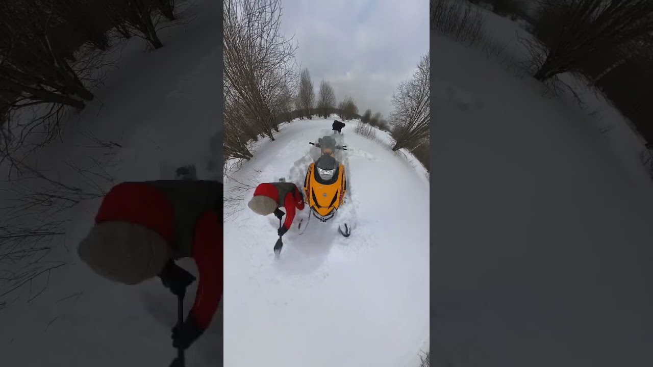 #polaris