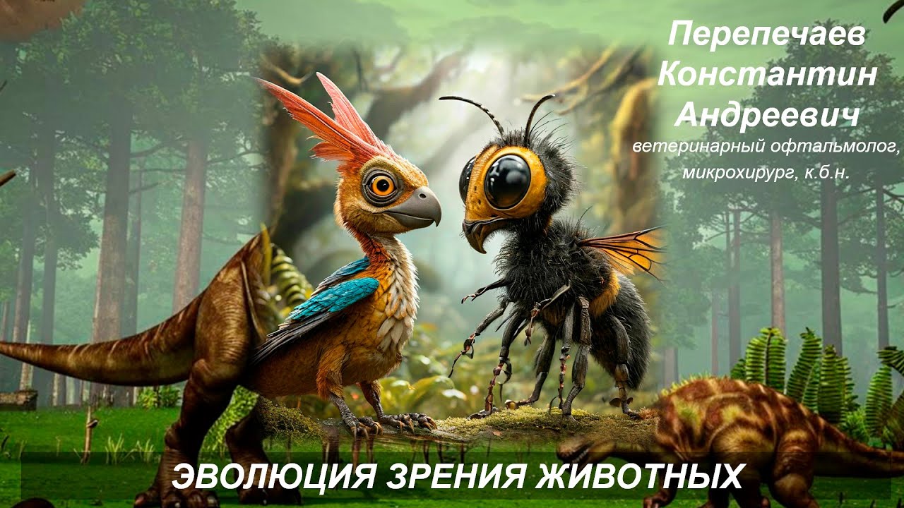 Эволюция зрения животных. Лекция 1 час 4 минуты.